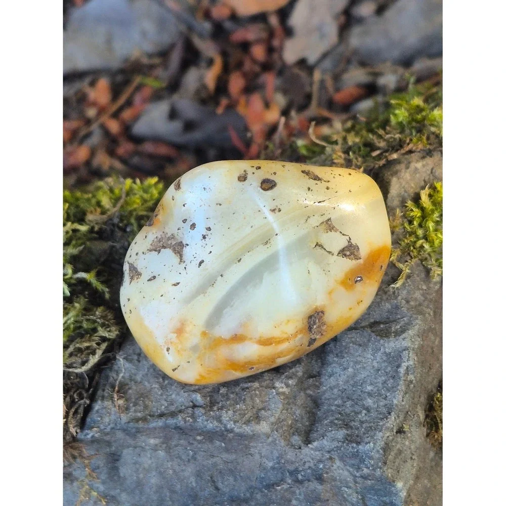 Handcrafted Rustic Olive Wood Oval Bowl w/ PNW Carnelian Agates & Yellow Jasper